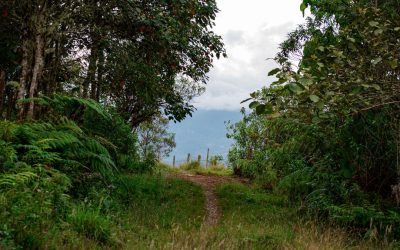 1-quebrada-Agua-negra--Ianaiaku-3
