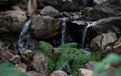 3-quebrada-Chungaiaku2