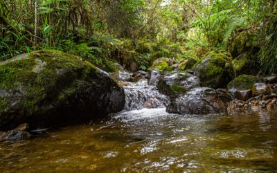 5-quebrada-Mulachaki---Predio-la-Granja1