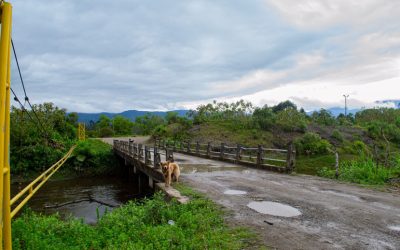 7-Canal-Artificial-Río-Putumayo---Puente-Amarillo3