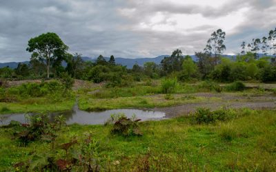 8--Cause-Natural-Antiguo-Rio-Putumayo---Sector-Dárcenas2