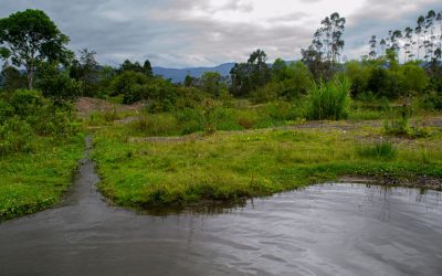 8-Cause-Natural-Antiguo--Rio-Putumayo---Sector-Dárcenas3