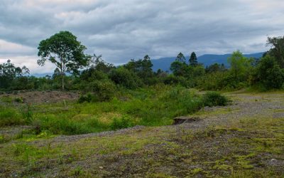 8--Cause--Natural-antiguo-Rio-Putumayo---Sector-las-Dárcenas1