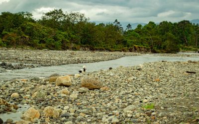 9-Rio-Putumayo-y-Río-San-Francisco---Sector-las-Juntas3