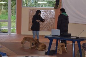TALLER SONIDO 1 (2)