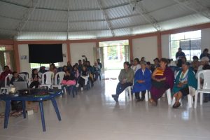 socializacion etapa 1 (1)